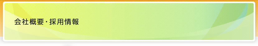 ��ЊT�v�E�̗p���